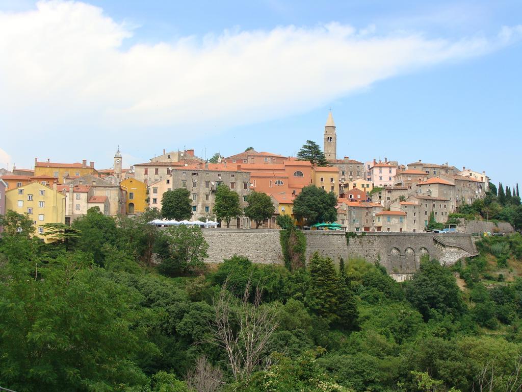 Apartmán Boris Labin (Istria)